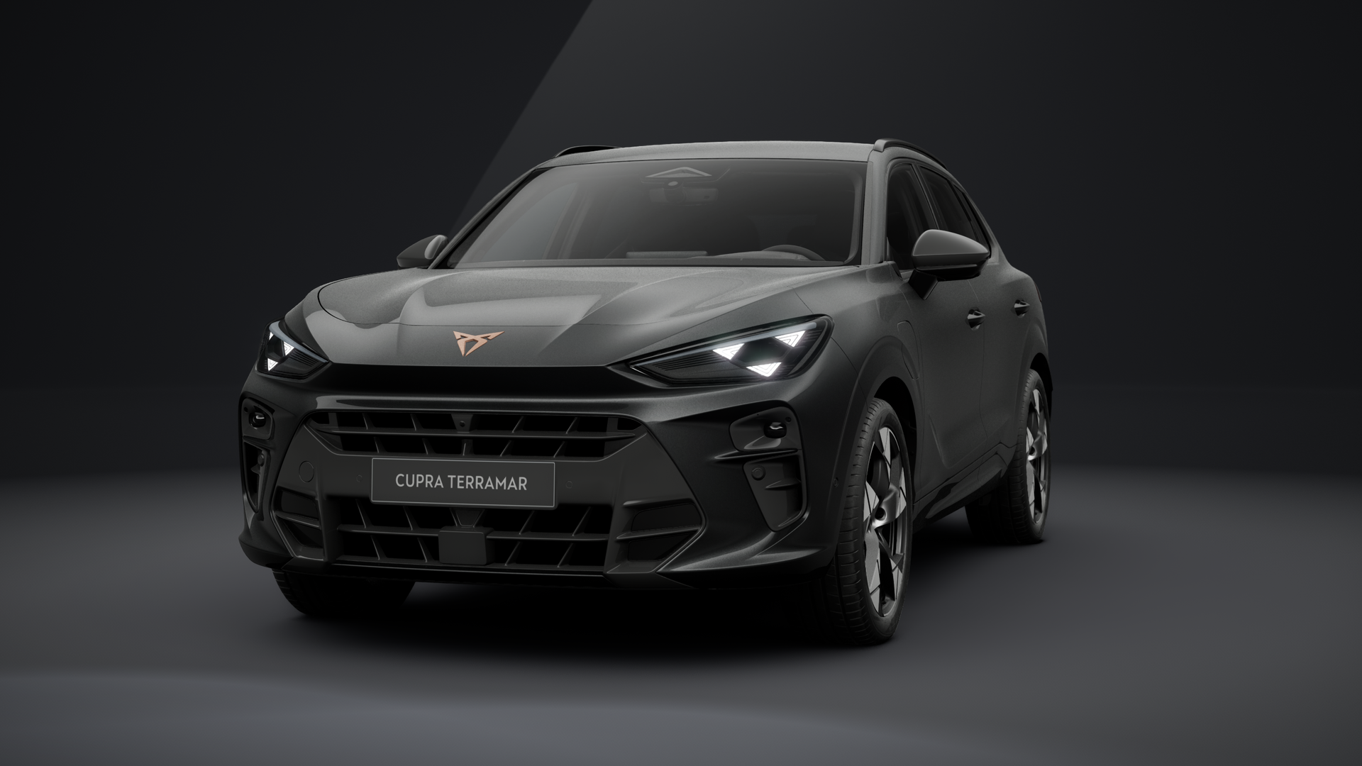 CUPRA Terramar 1.5 e-HYBRID 150 kW (204 PS) 6-Gang-DSG (1203384312025)
