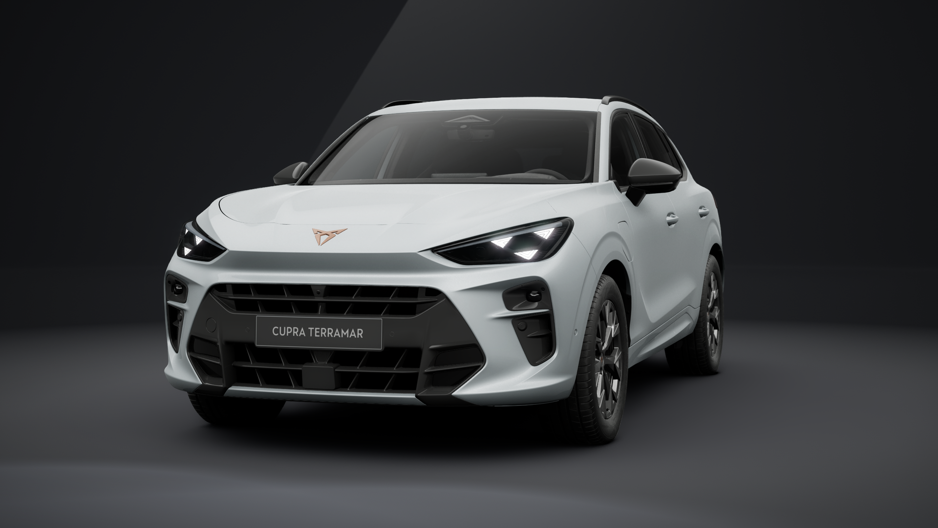 CUPRA Terramar 1.5 e-HYBRID 150 kW (204 PS) 6-Gang-DSG (1203300542025)