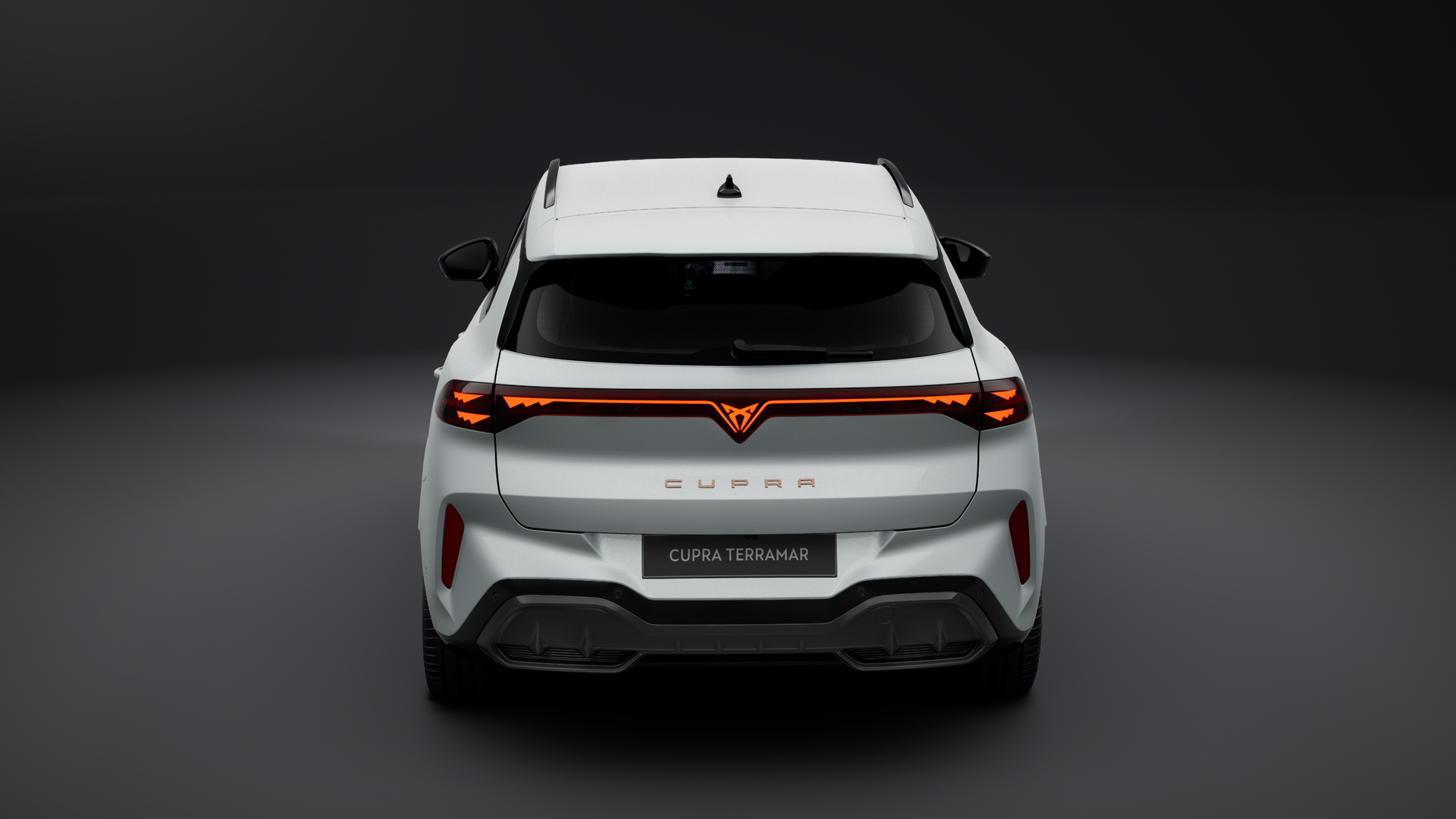 Bild des Autos 2