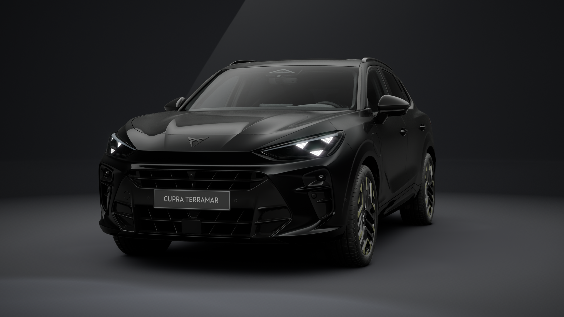 CUPRA Terramar VZ Tribe Edition 1.5 e-HYBRID 200 kW (272 PS) 6-Gang-DSG (1203385142025)