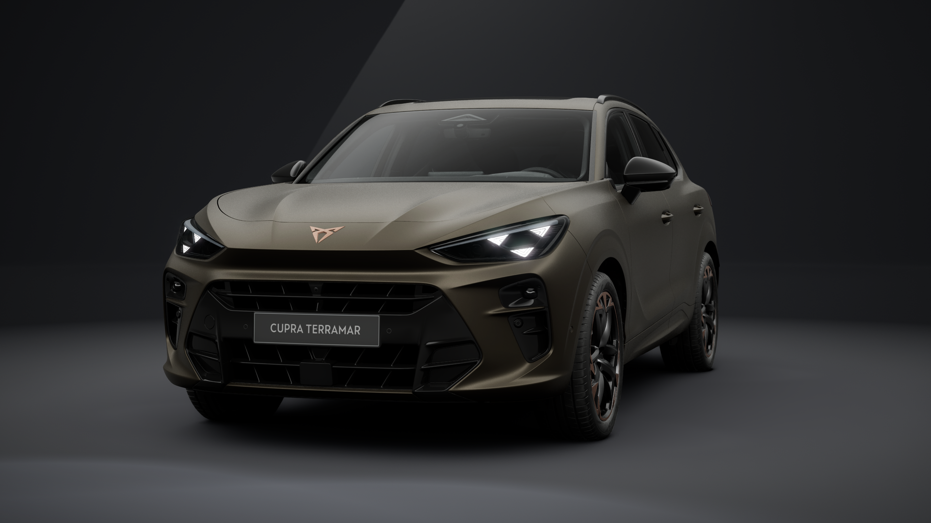 CUPRA Terramar VZ 2.0 TSI 195 kW (265 PS) 7-Gang DSG 4Drive (1203117242025)