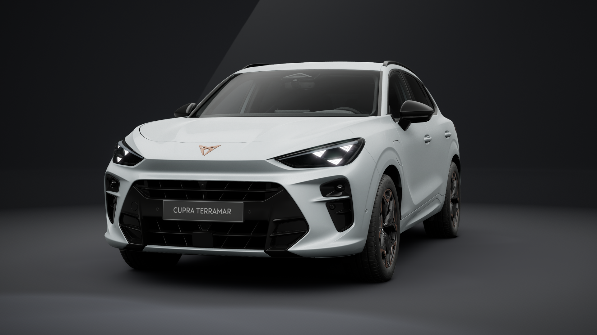 CUPRA Terramar 1.5 e-HYBRID 150 kW (204 PS) 6-Gang-DSG (1203133842025)