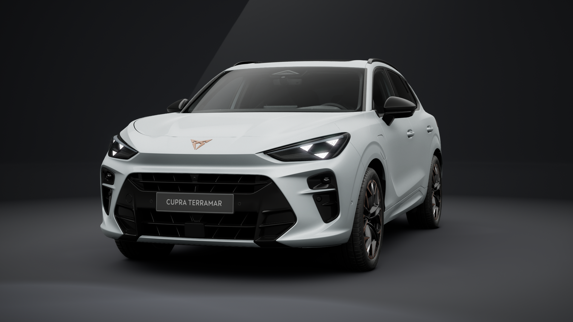 CUPRA Terramar 1.5 e-HYBRID 150 kW (204 PS) 6-Gang-DSG (1202835532025)