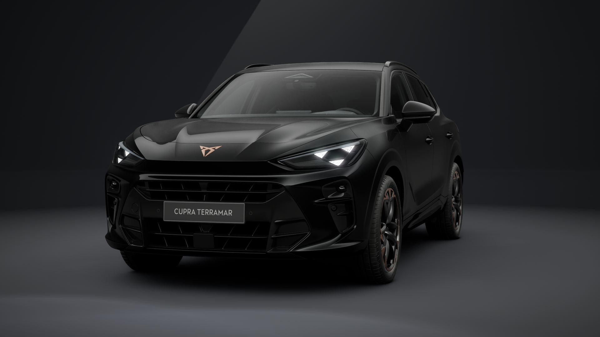 CUPRA Terramar 2.0 TSI 150 kW (204 PS) 7-Gang DSG 4Drive (1203680432026)