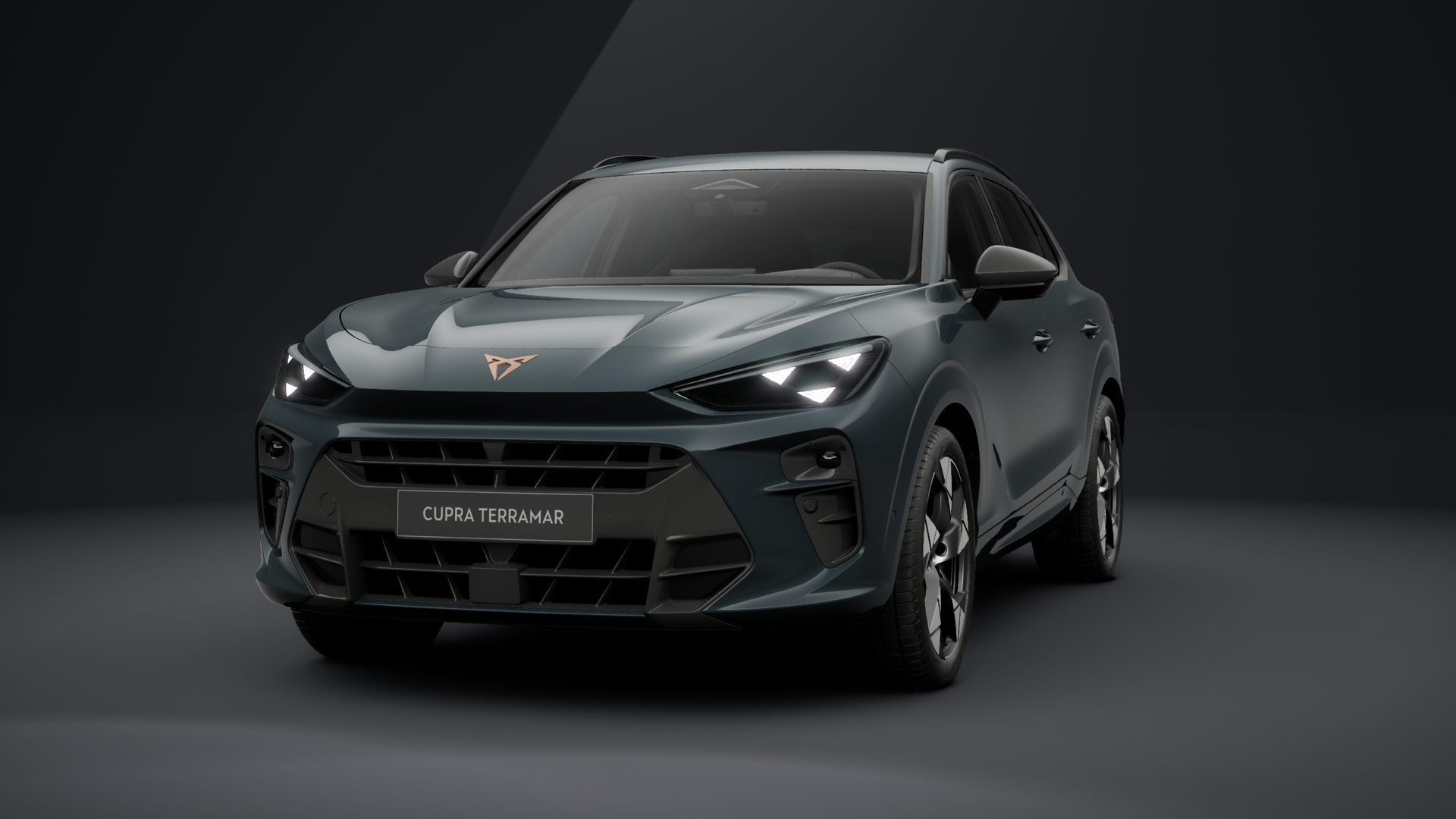 CUPRA Terramar 1.5 eTSI 110 kW (150 PS) 7-Gang-DSG (1202845812025)