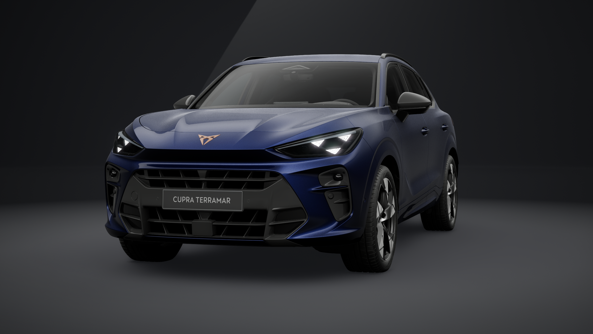 CUPRA Terramar 1.5 eTSI 110 kW (150 PS) 7-Gang-DSG (1202845292025)