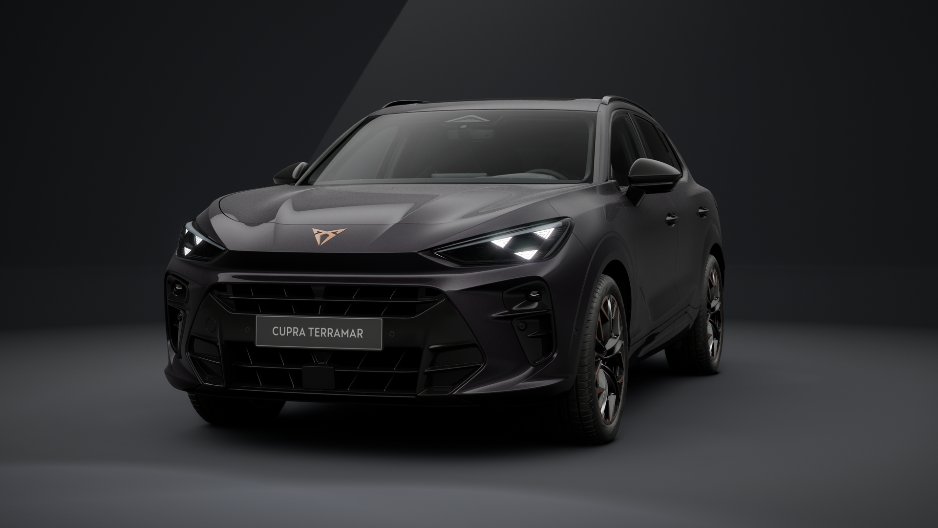 CUPRA Terramar VZ 2.0 TSI 195 kW (265 PS) 7-Gang DSG 4Drive (1202284392025)