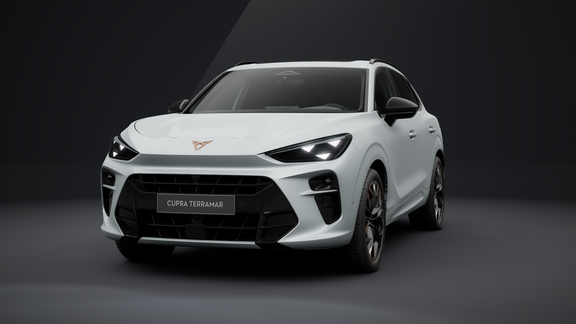 CUPRA Terramar VZ 2.0 TSI 195 kW (265 PS) 7-Gang DSG 4Drive (1202502512025)