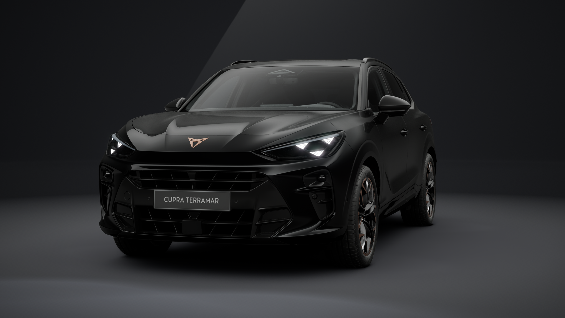 CUPRA Terramar VZ 2.0 TSI 195 kW (265 PS) 7-Gang DSG 4Drive (1202981112025)
