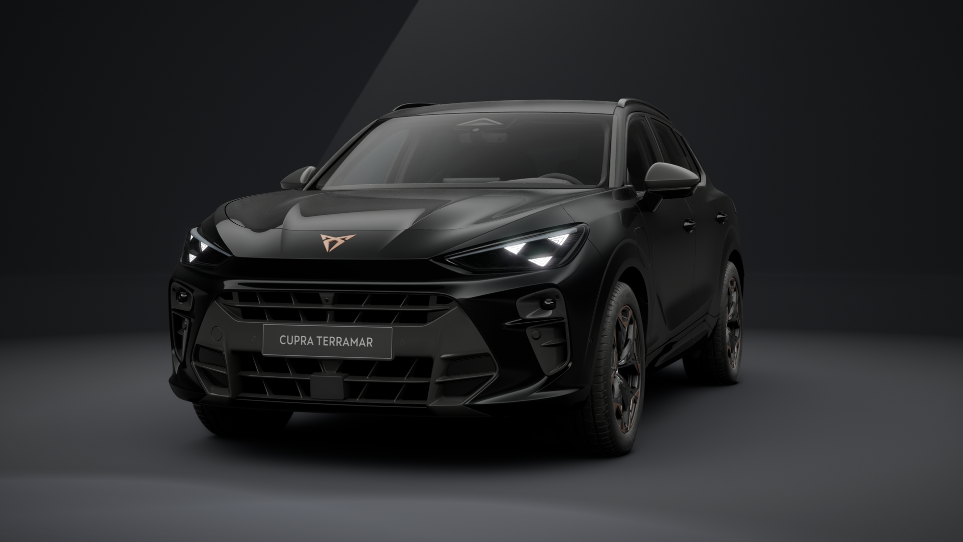 CUPRA Terramar 1.5 e-HYBRID 150 kW (204 PS) 6-Gang-DSG (1203332072025)