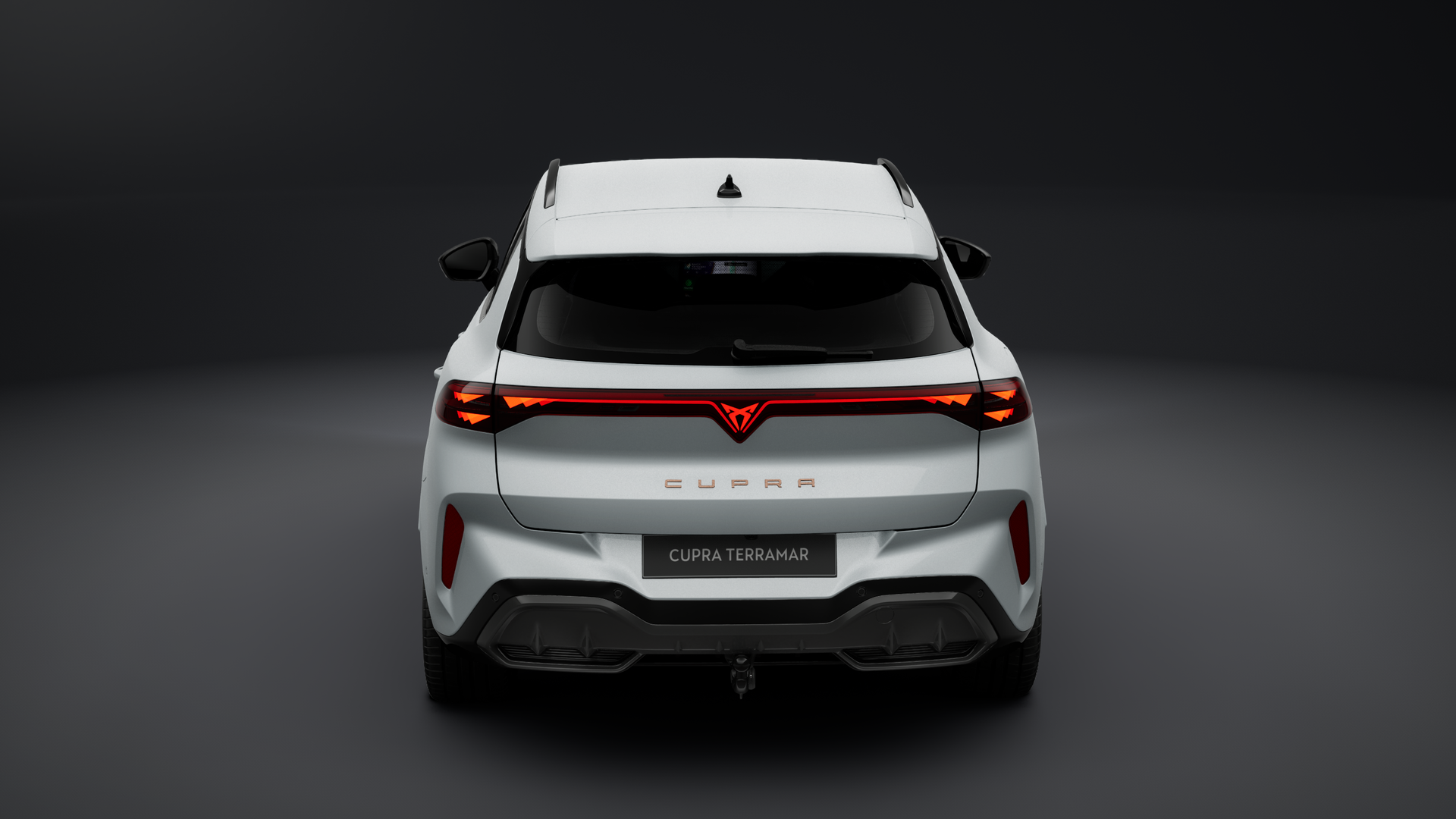 Bild des Autos 2