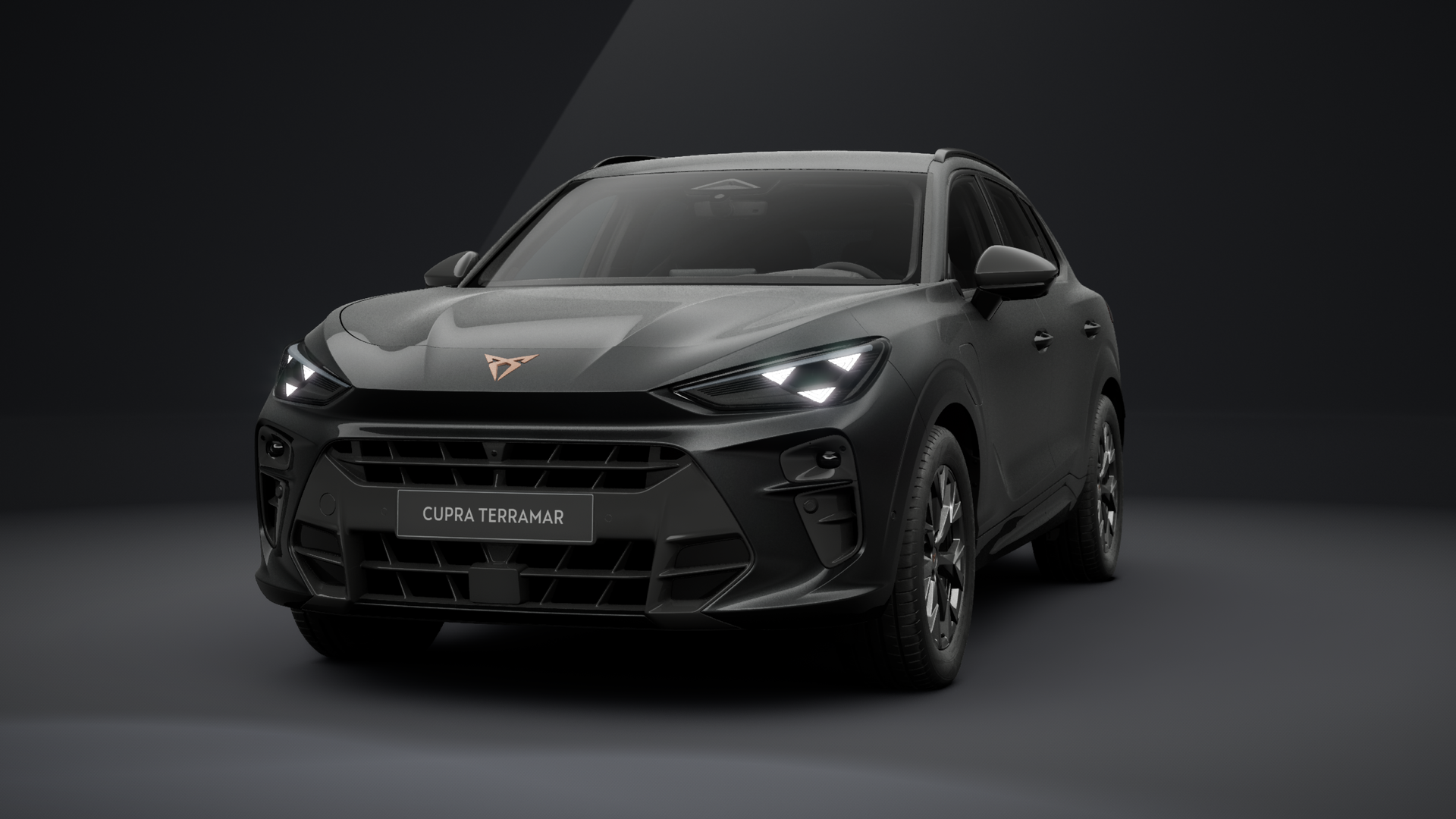 CUPRA Terramar 1.5 e-HYBRID 150 kW (204 PS) 6-Gang-DSG (1203375282025)