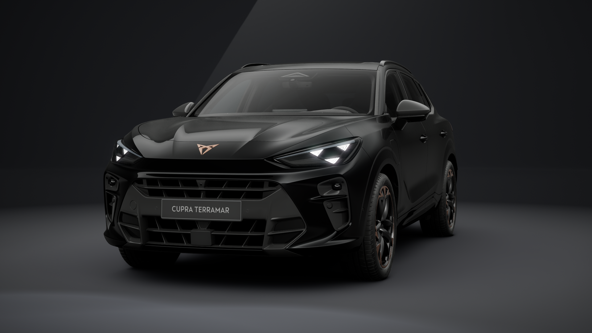 CUPRA Terramar 1.5 e-HYBRID 150 kW (204 PS) 6-Gang-DSG (1203299882025)