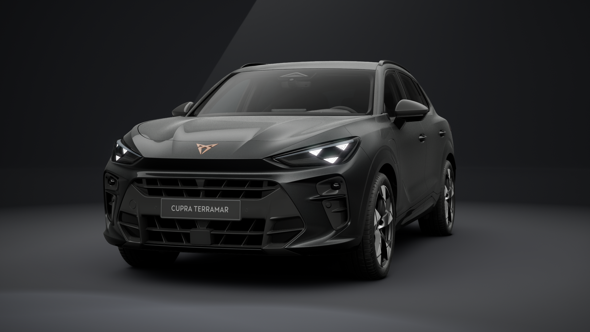 CUPRA Terramar VZ 1.5 e-HYBRID 200 kW (272 PS) 6-Gang-DSG (1203296572025)