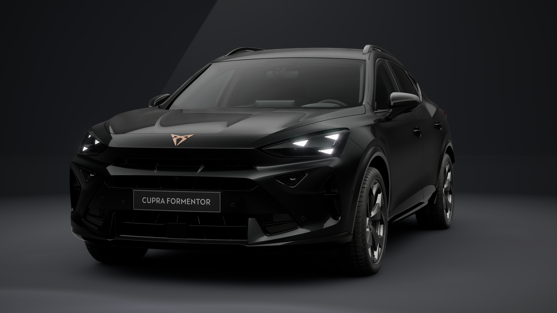 CUPRA Formentor 2.0 TDI 110 kW (150 PS) 7-Gang-DSG (1202910072025)