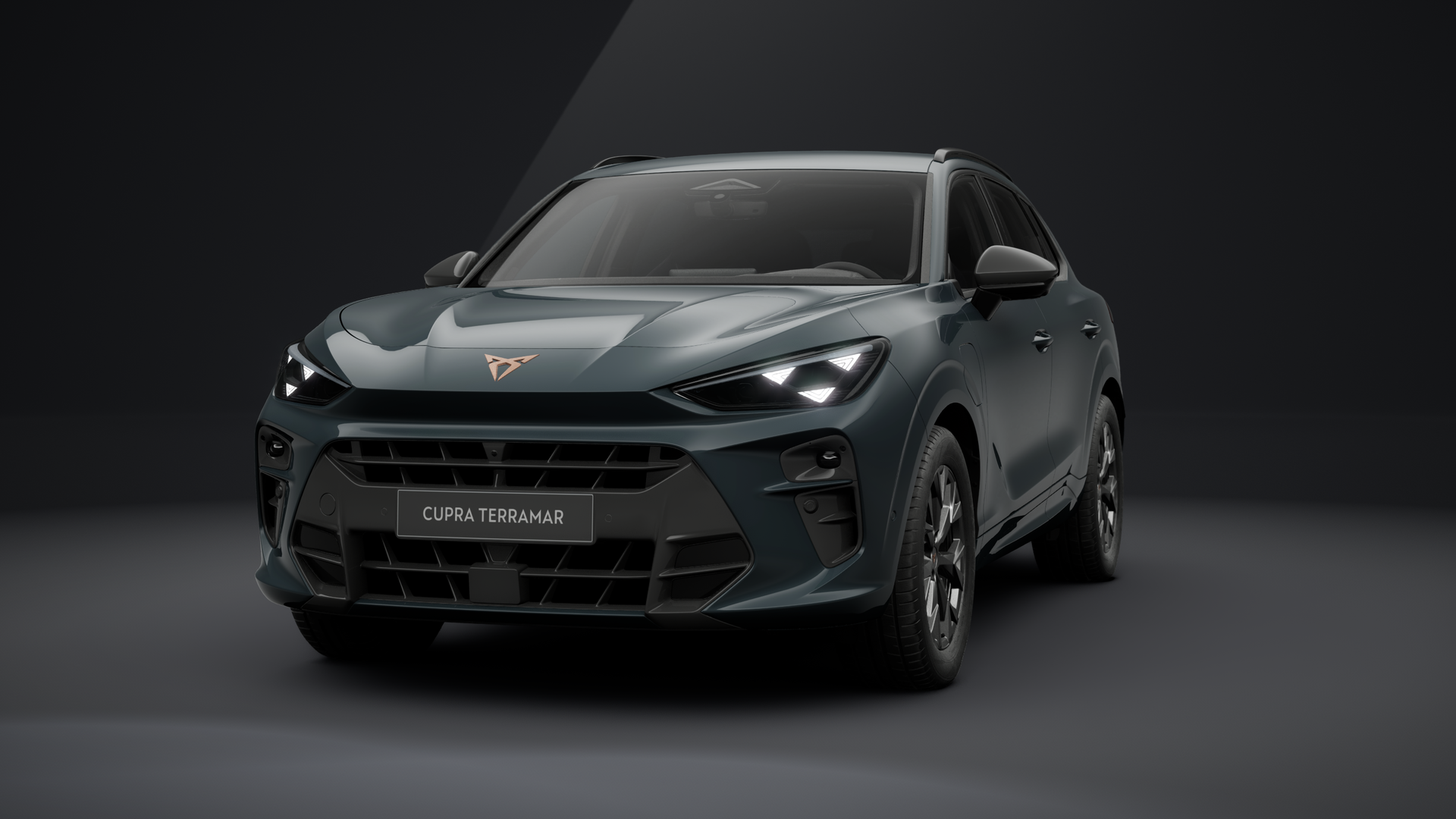 CUPRA Terramar 1.5 e-HYBRID 150 kW (204 PS) 6-Gang-DSG (1203337982025)