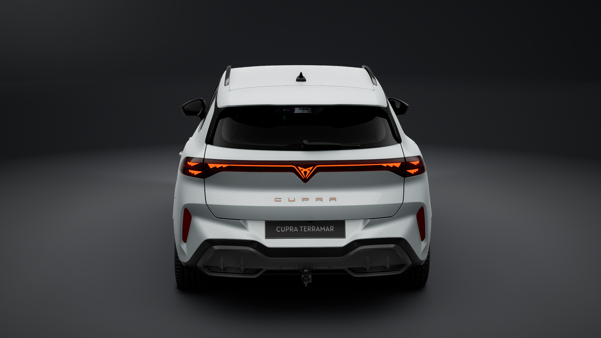 Bild des Autos 2