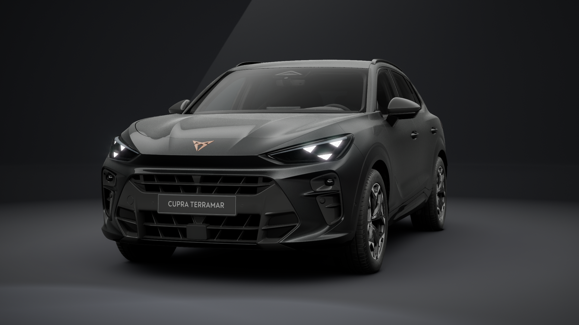 CUPRA Terramar 2.0 TSI 150 kW (204 PS) 7-Gang DSG 4Drive (1202904712025)