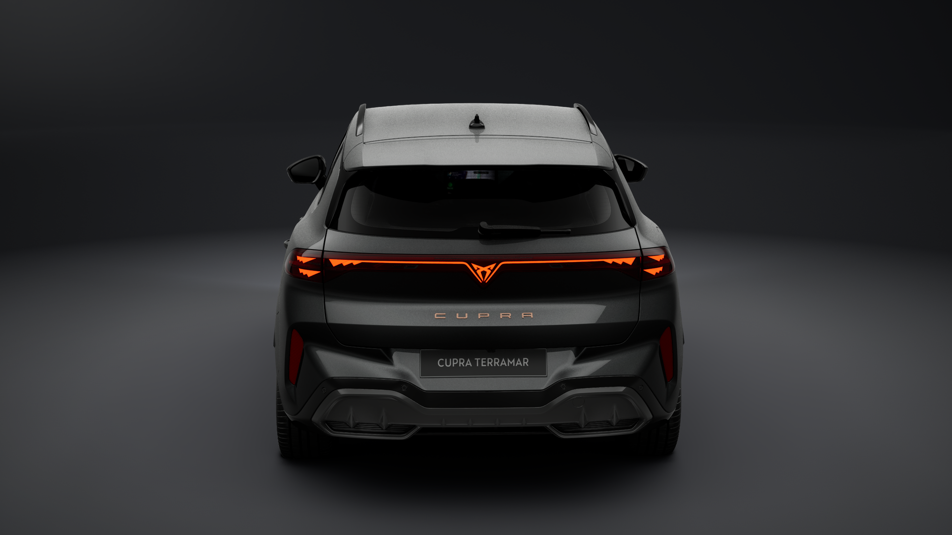 Bild des Autos 2