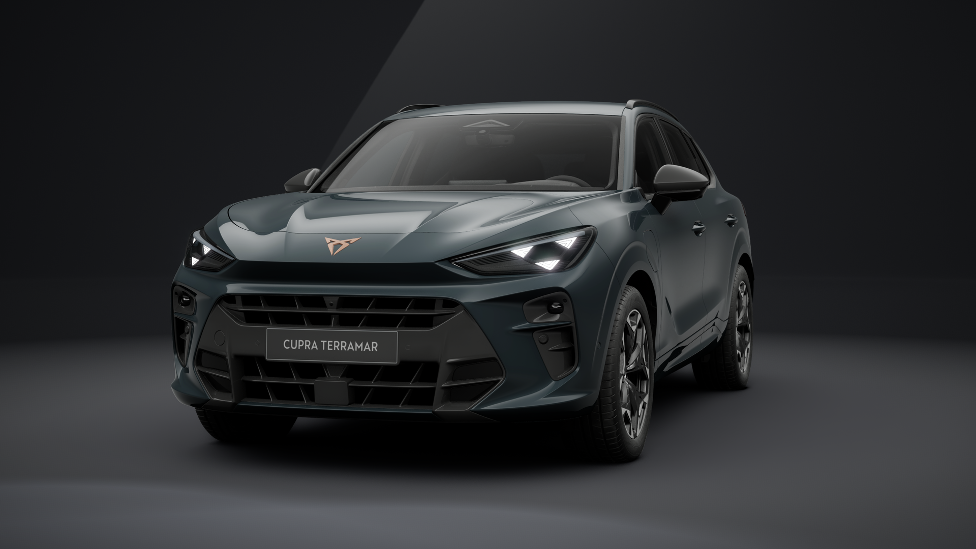 CUPRA Terramar 1.5 e-HYBRID 150 kW (204 PS) 6-Gang-DSG (1203276412025)