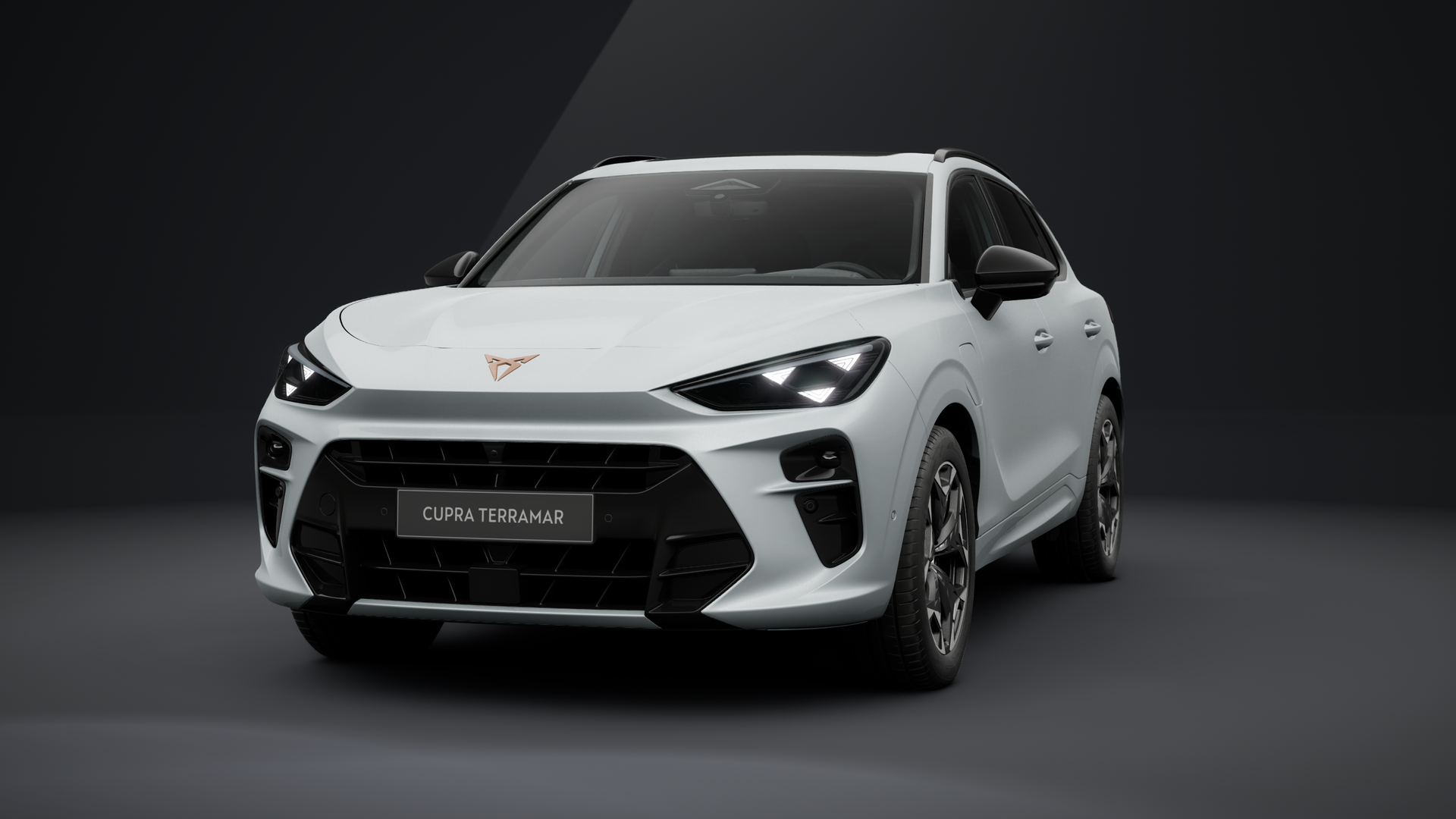 CUPRA Terramar 1.5 e-HYBRID 150 kW (204 PS) 6-Gang-DSG (1203133692025)