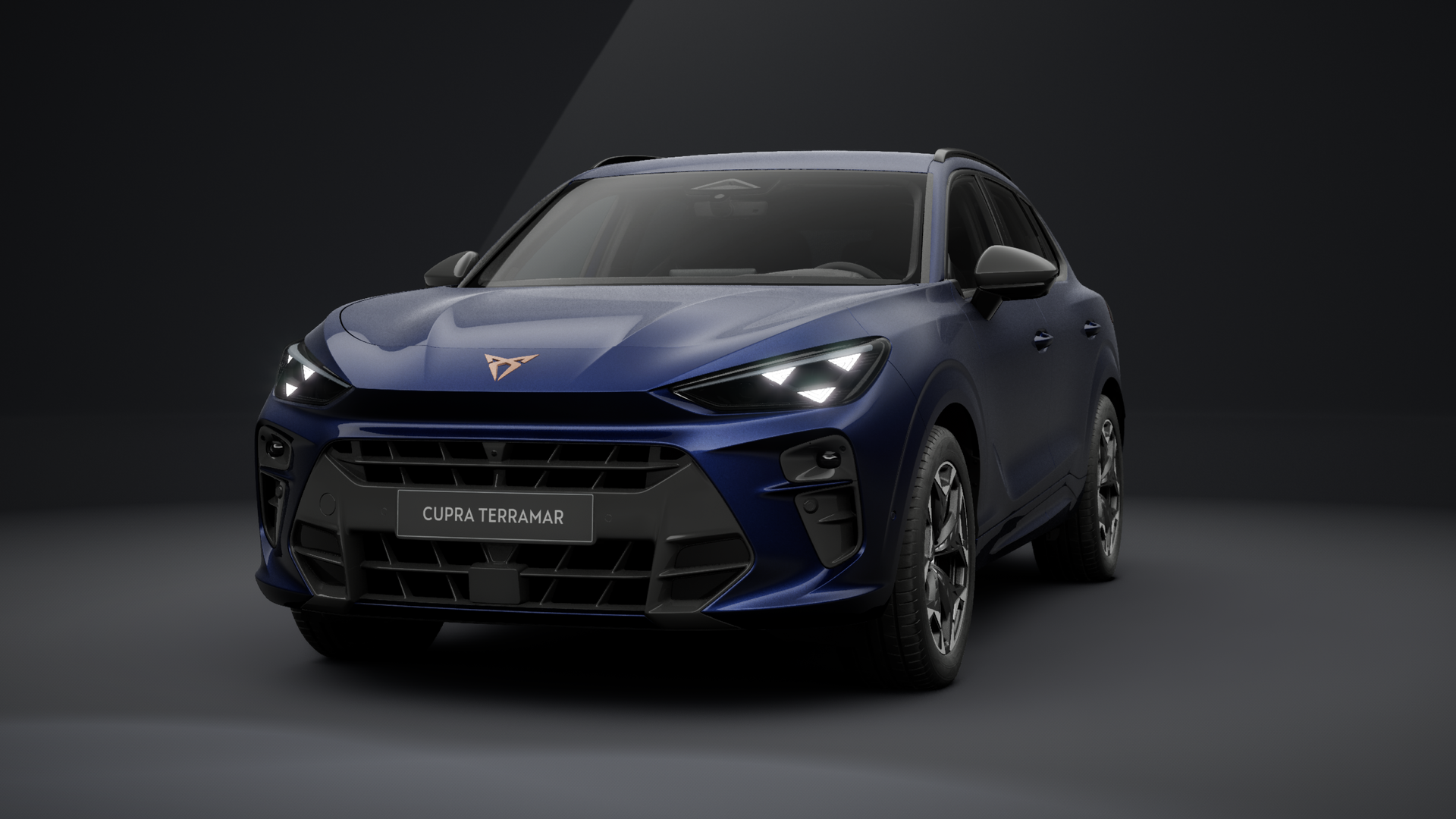 CUPRA Terramar 1.5 eTSI 110 kW (150 PS) 7-Gang-DSG (1204276812026)