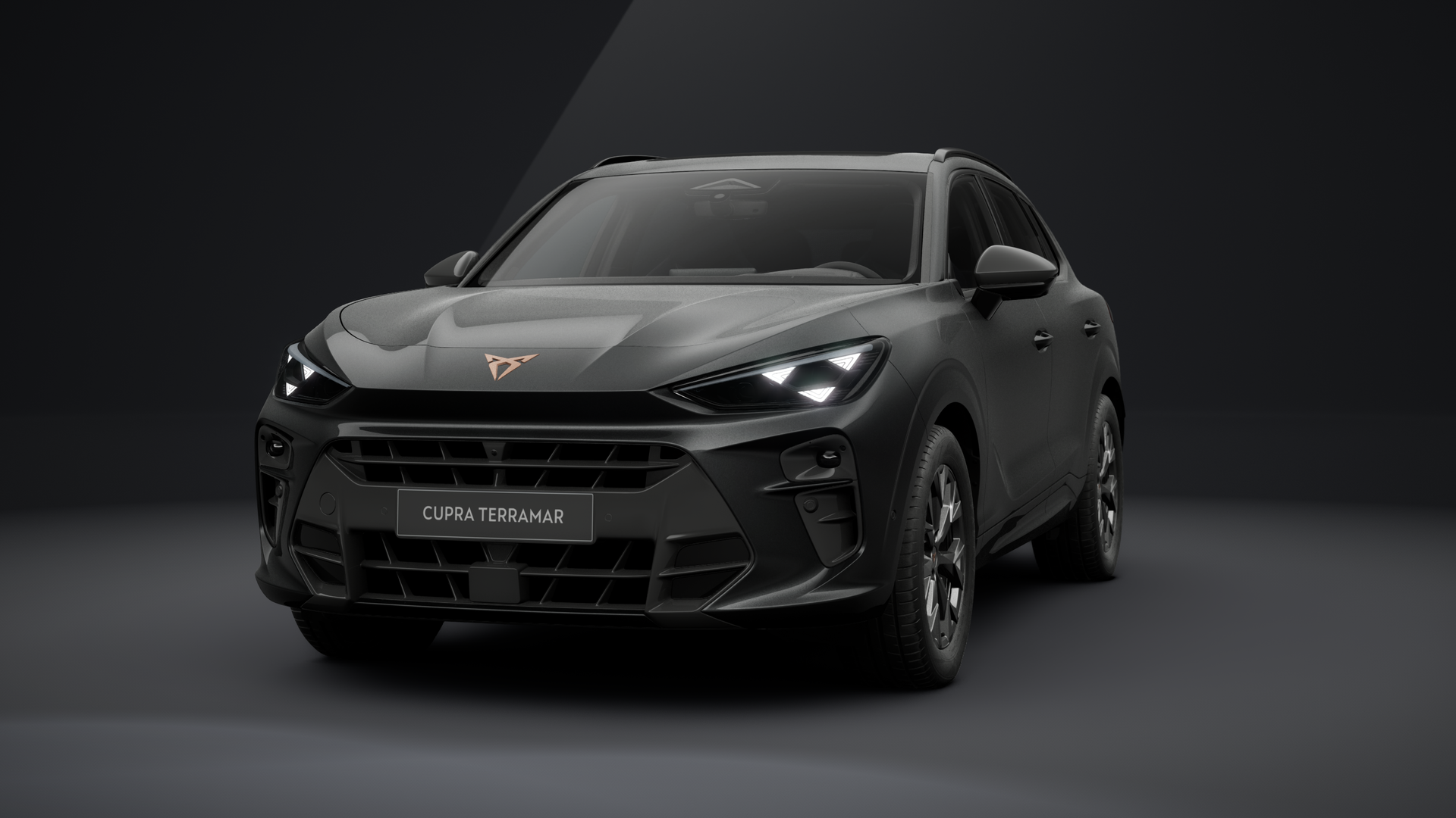 CUPRA Terramar 1.5 eTSI 110 kW (150 PS) 7-Gang-DSG (1203162232025)