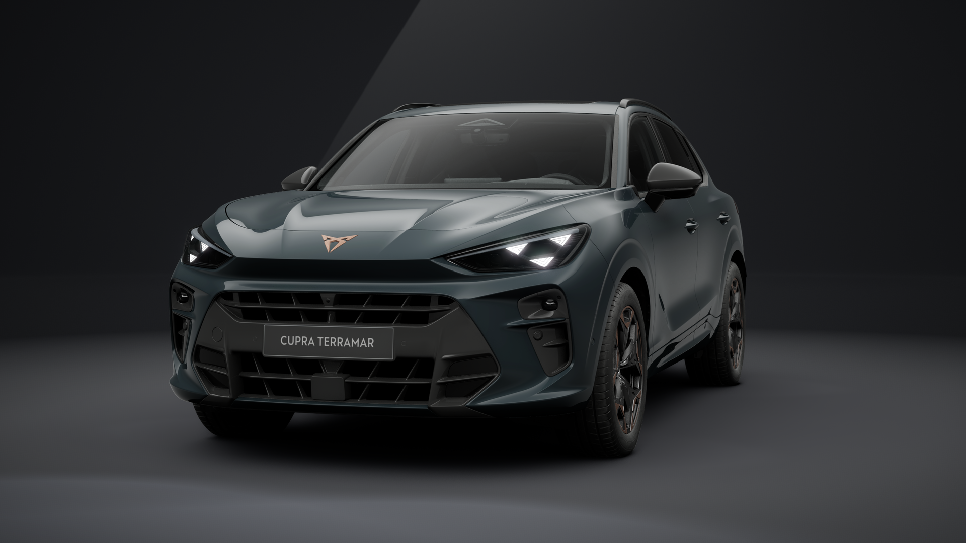 CUPRA Terramar 2.0 TSI 150 kW (204 PS) 7-Gang DSG 4Drive (1202846642025)
