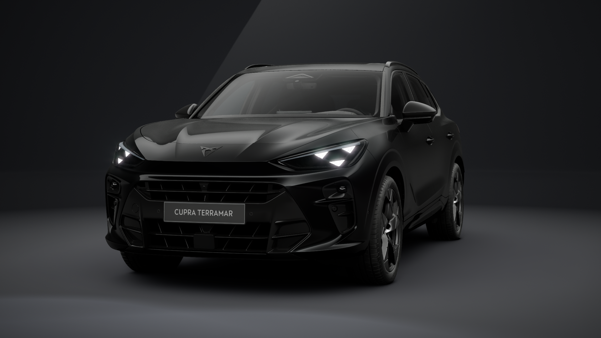 CUPRA Terramar Tribe Edition 2.0 TSI 150 kW (204 PS) 7-Gang DSG 4Drive (1204031652026)