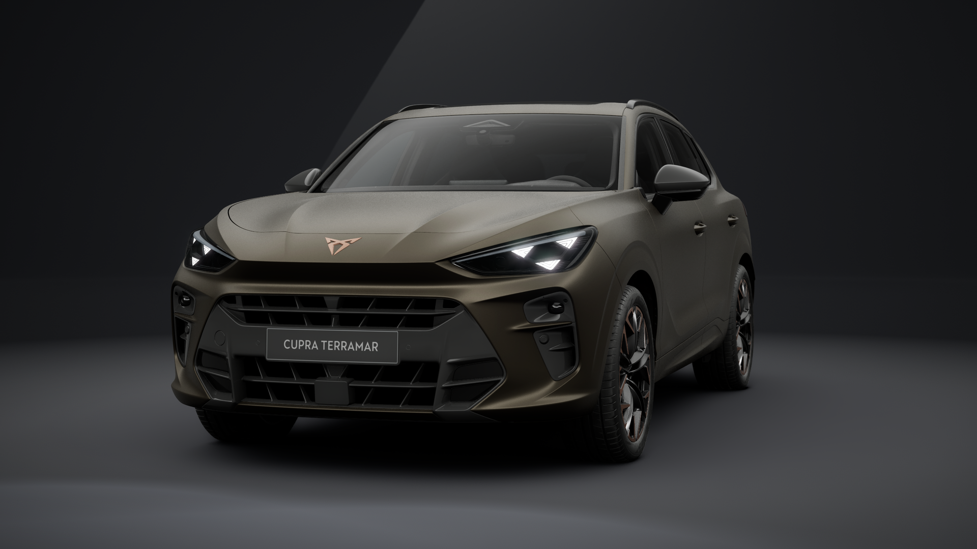 CUPRA Terramar VZ 2.0 TSI 195 kW (265 PS) 7-Gang DSG 4Drive (1203117412025)