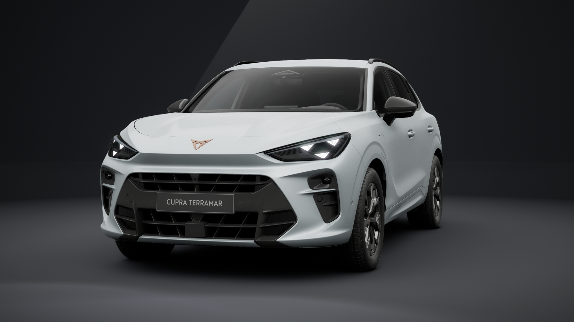 CUPRA Terramar 1.5 e-HYBRID 150 kW (204 PS) 6-Gang-DSG (1203374582025)