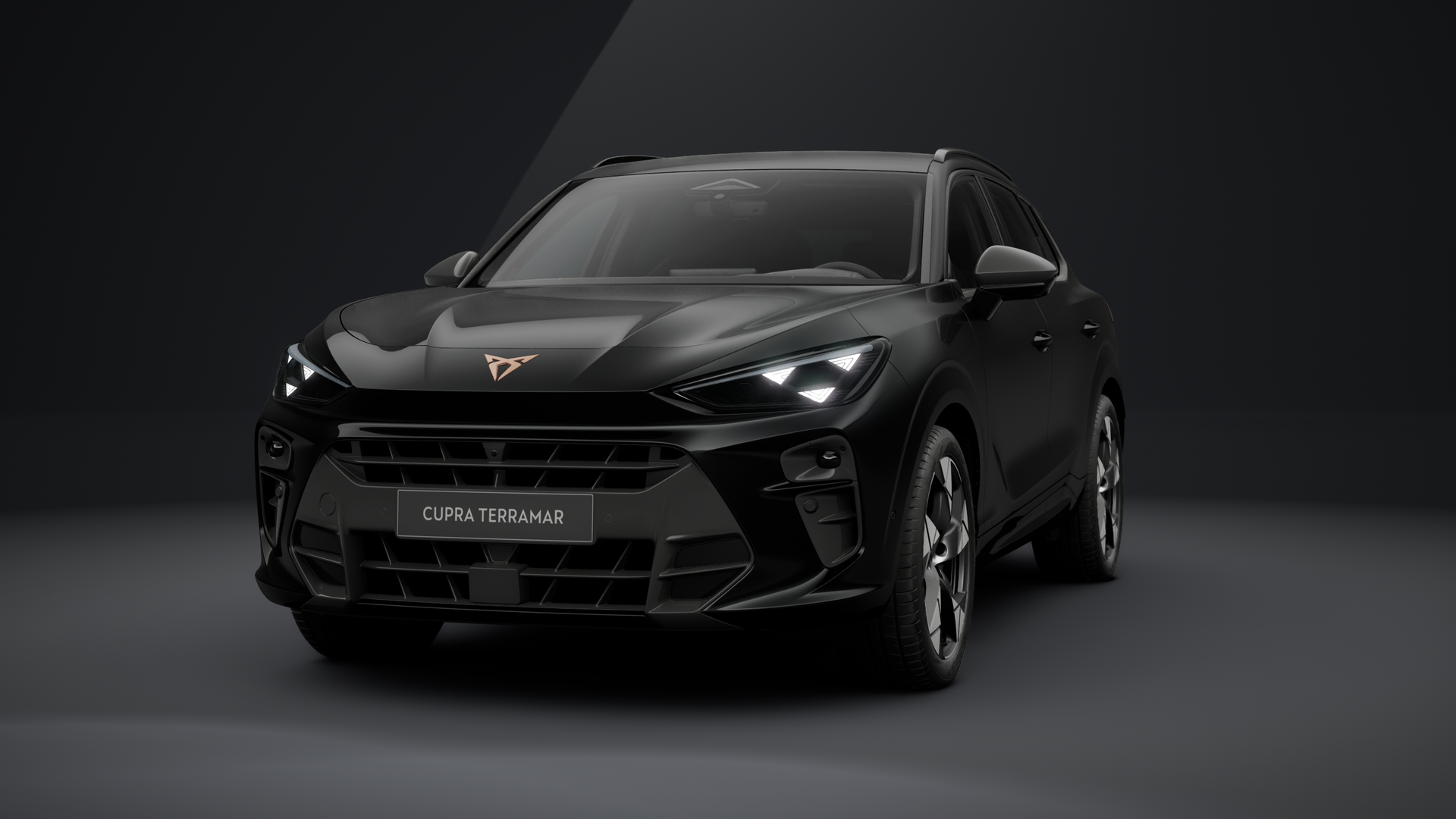 CUPRA Terramar 2.0 TSI 150 kW (204 PS) 7-Gang DSG 4Drive (1203110362025)