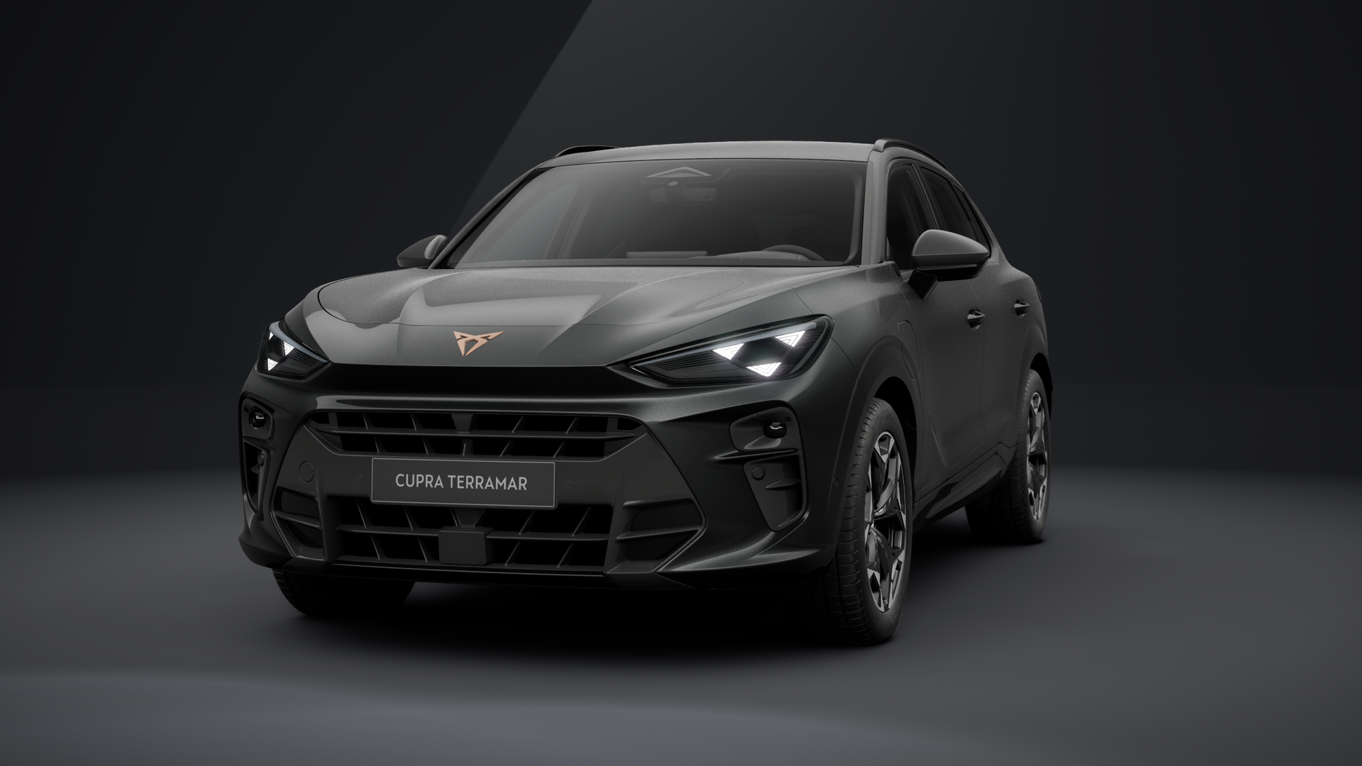 CUPRA Terramar 1.5 e-HYBRID 150 kW (204 PS) 6-Gang-DSG (1202876882025)