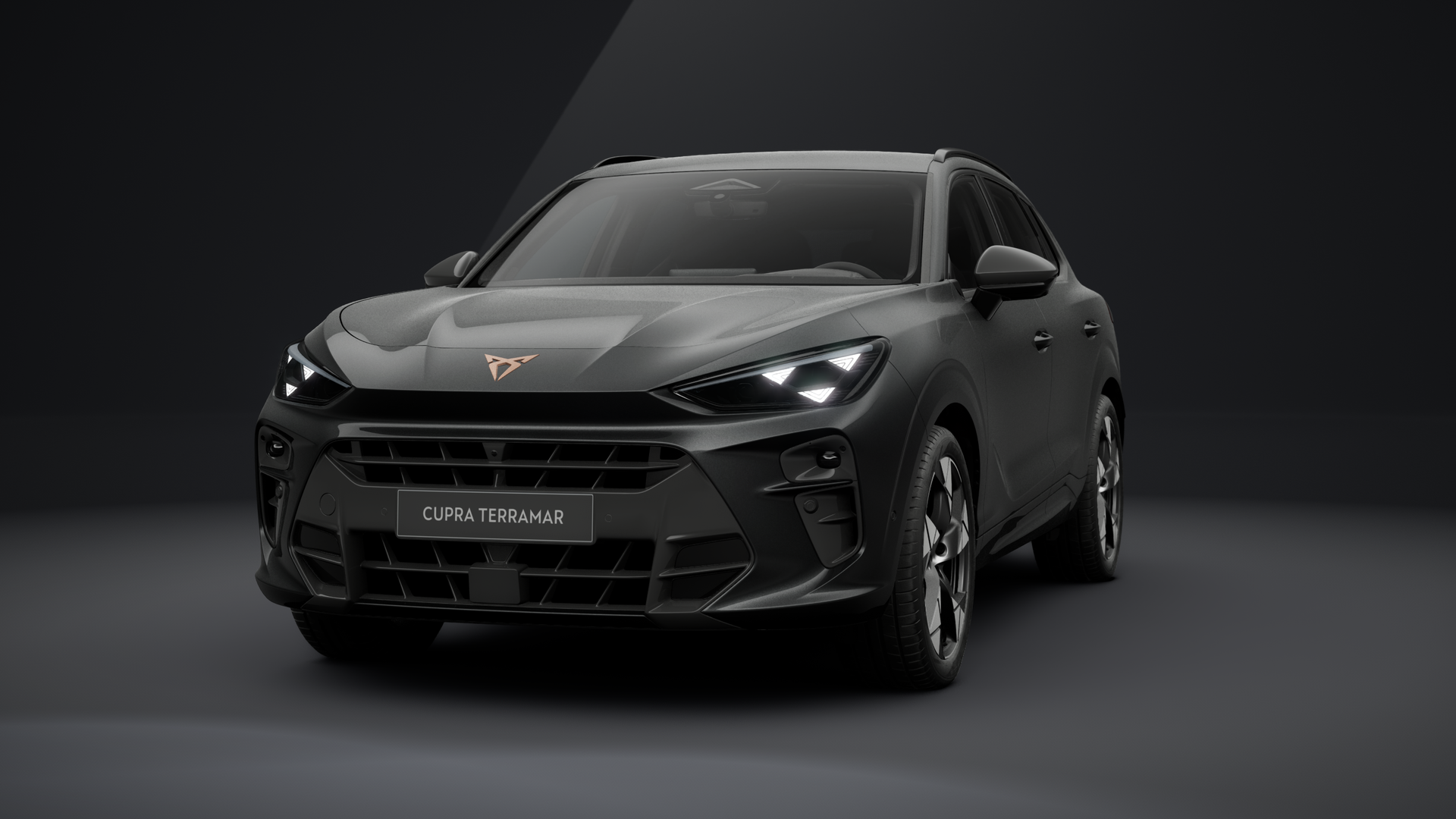 CUPRA Terramar 2.0 TSI 150 kW (204 PS) 7-Gang DSG 4Drive (1203891742026)