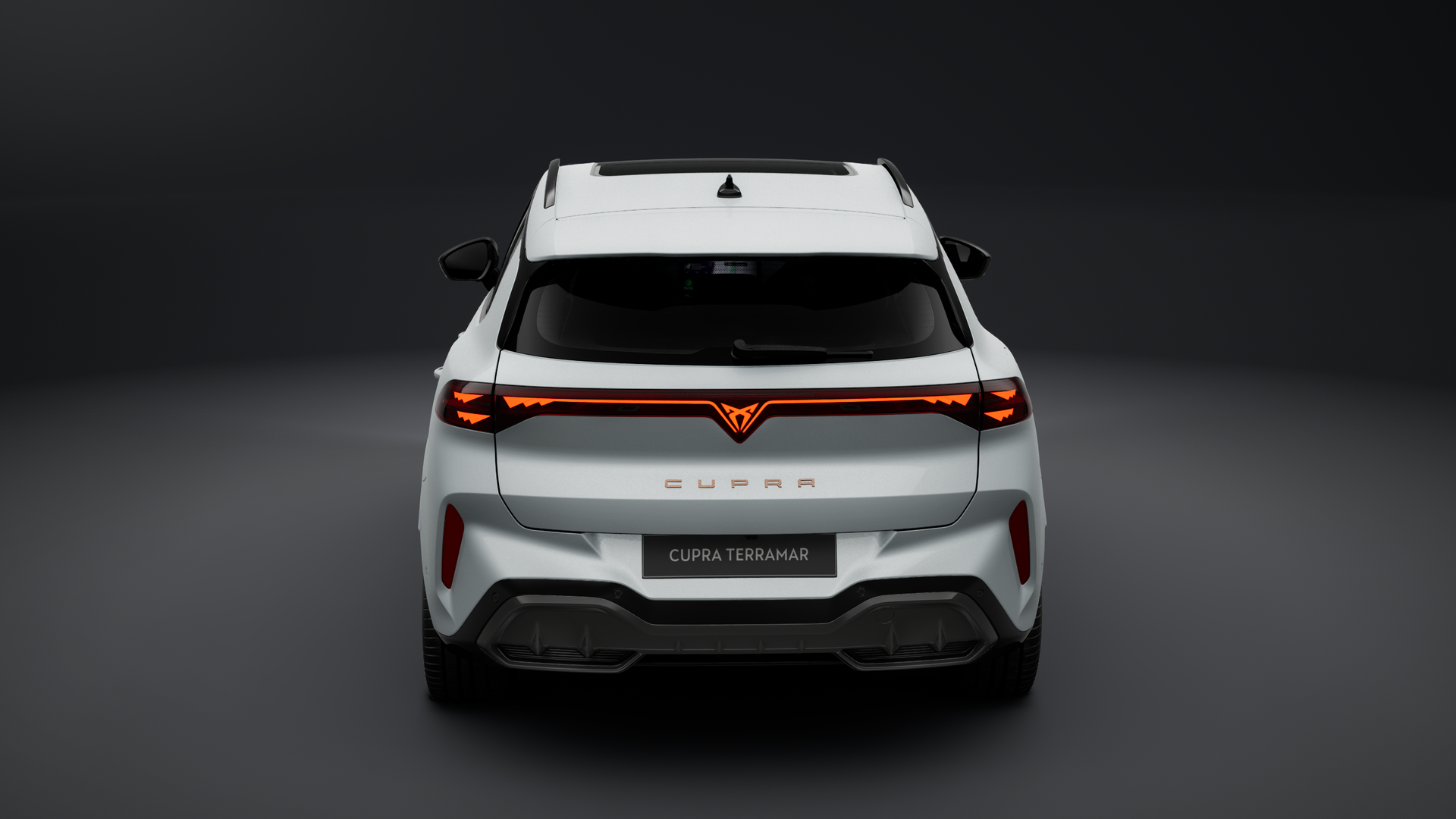 Bild des Autos 2