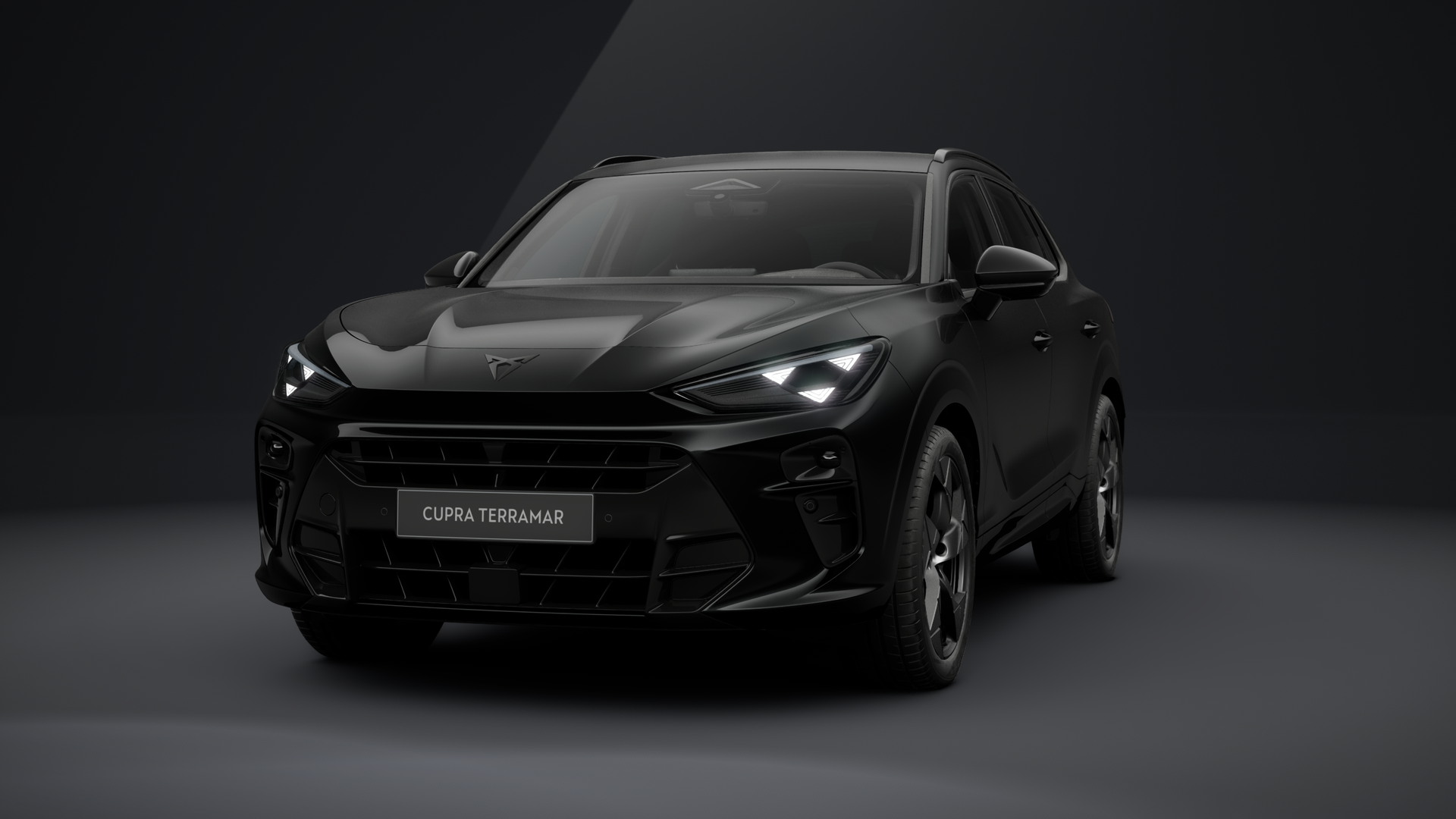 CUPRA Terramar Tribe Edition 2.0 TSI 150 kW (204 PS) 7-Gang DSG 4Drive (1204481812026)