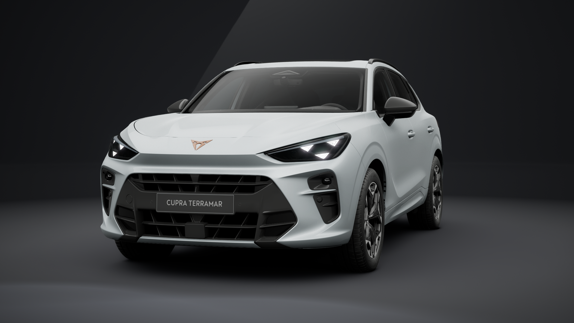 CUPRA Terramar VZ 2.0 TSI 195 kW (265 PS) 7-Gang DSG 4Drive (1203936982026)